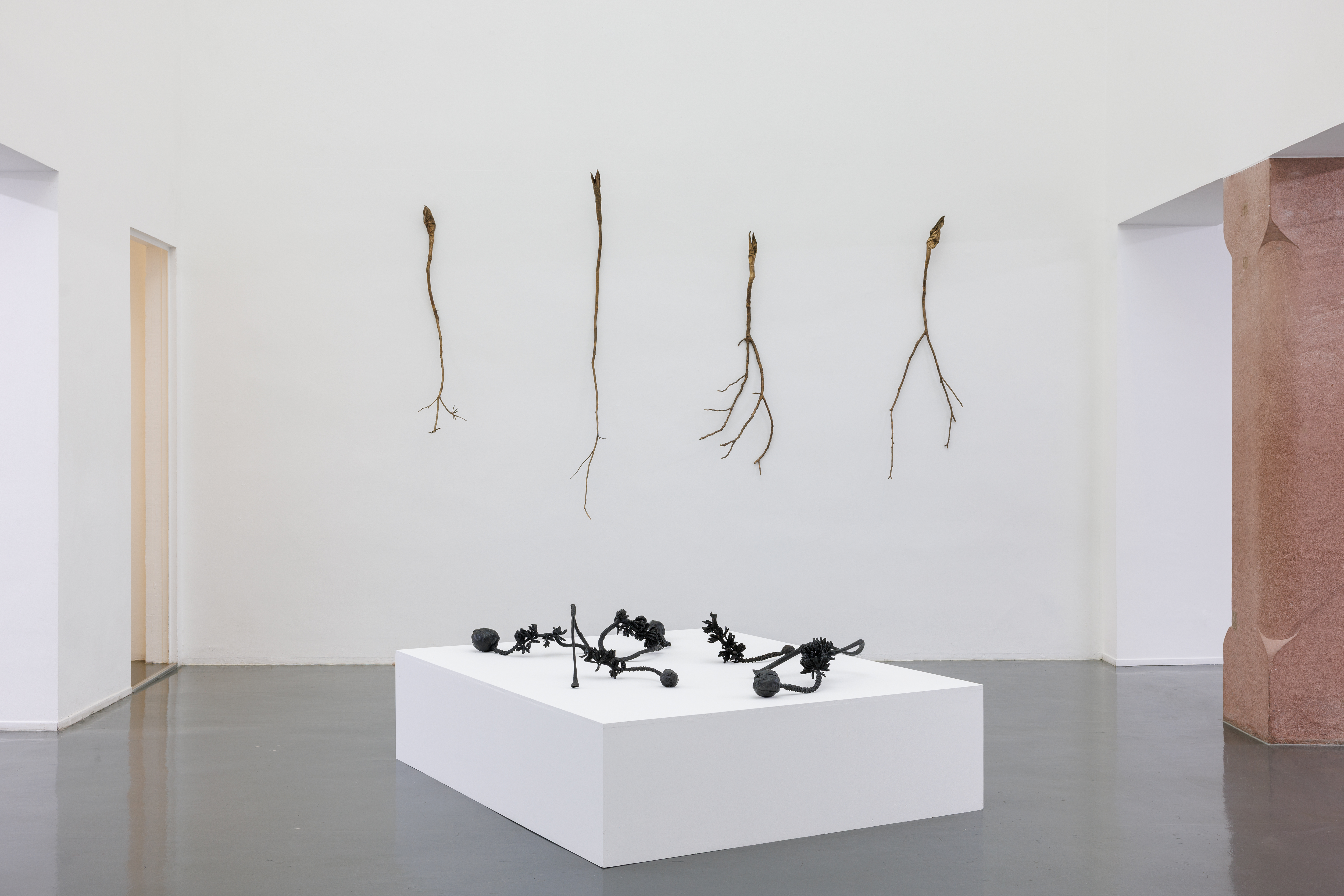 Ausstellungsansicht, Plants_Intelligence, Badischer Kunstverein, Karlsruhe 2025, Foto: Felix Gruenschloss